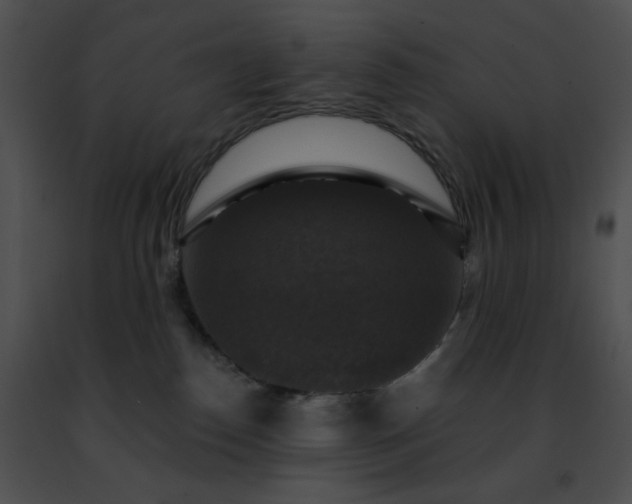 X0000091460186200708301839