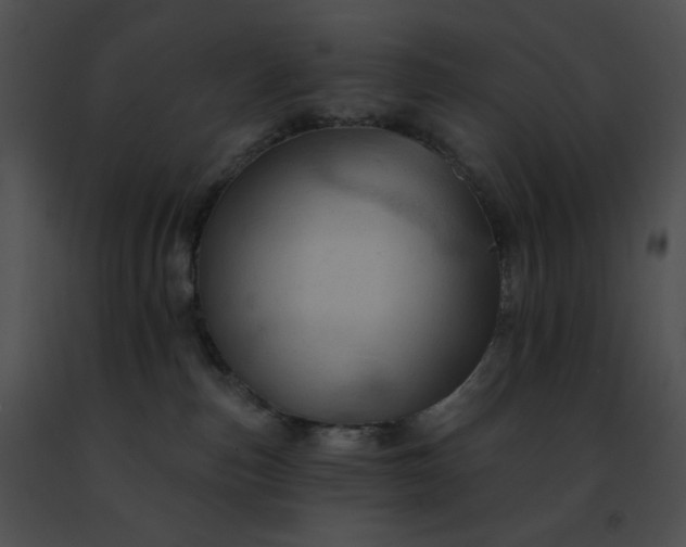 X0000091460187200708301839