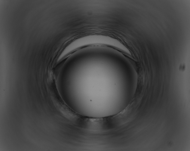 X0000091460188200708301840