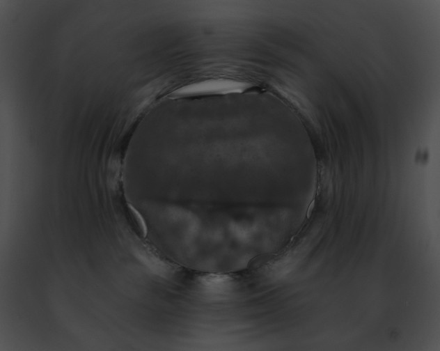 X0000091460189200708301840