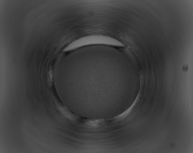 X0000091460190200708301840