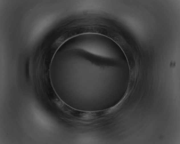 X0000091460191200708301840