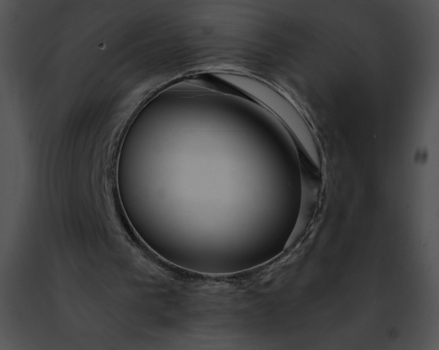 X0000091460193200708301839