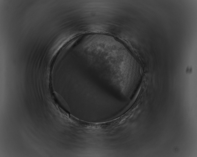 X0000091460194200708301839