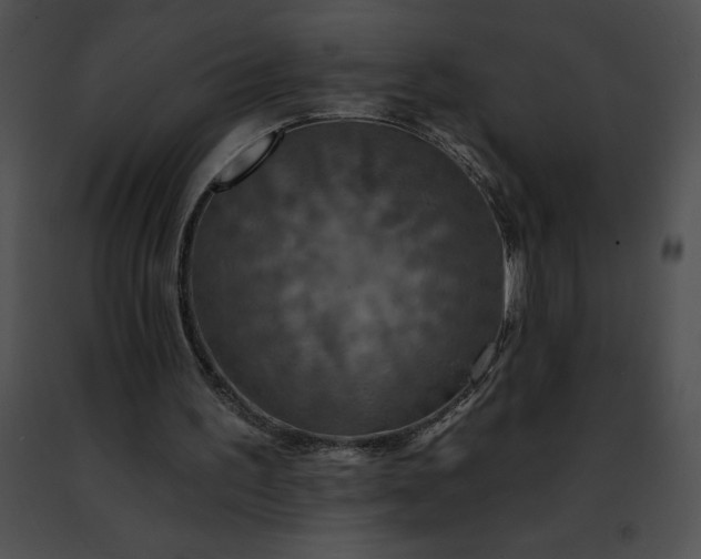 X0000091460195200708301839