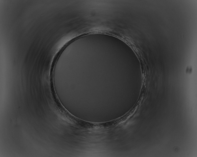 X0000091460196200708301839