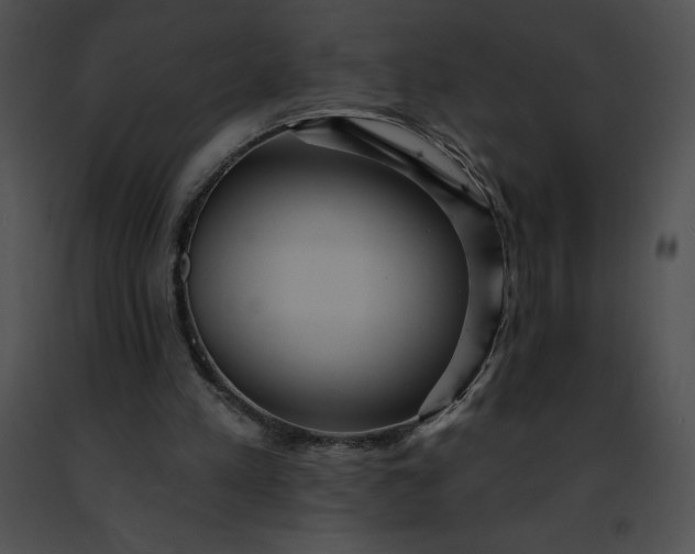 X0000091460197200708301839