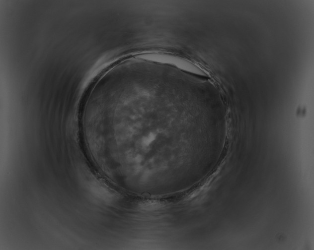 X0000091460198200708301839