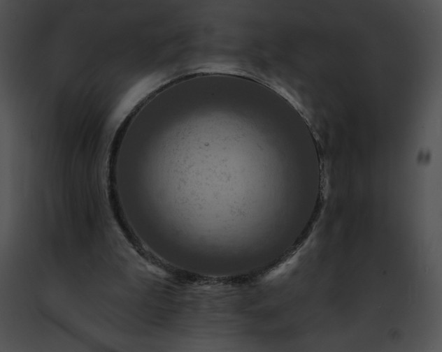 X0000091460199200708301839