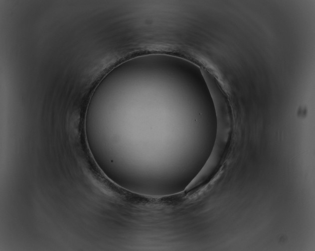 X0000091460201200708301839