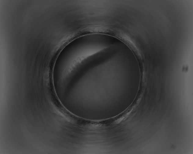 X0000091460202200708301839