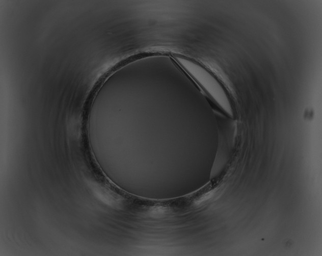 X0000091460204200708301839