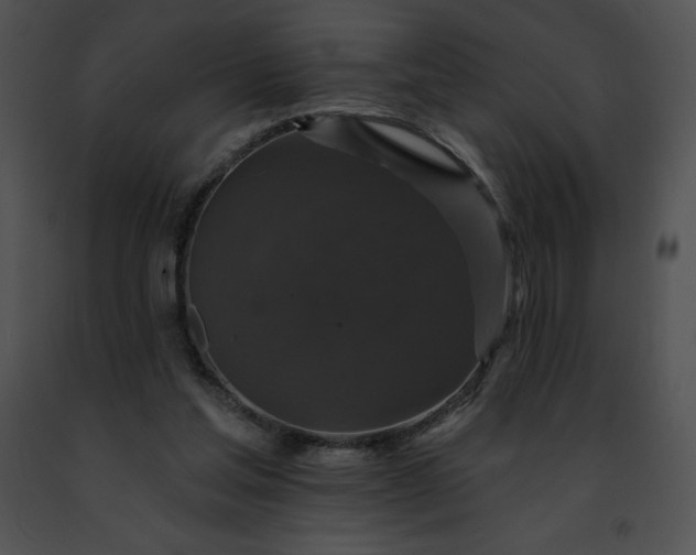 X0000091460205200708301839