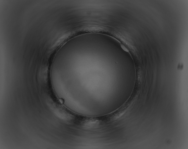 X0000091460206200708301839