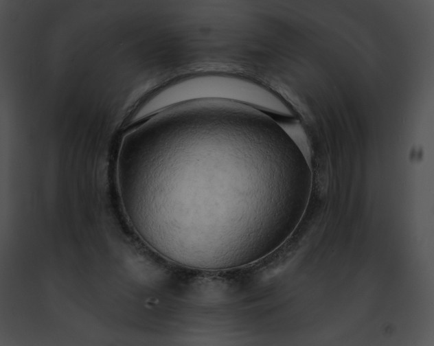 X0000091460207200708301839