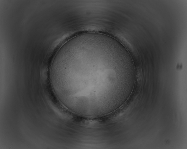 X0000091460208200708301839