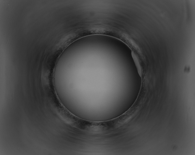 X0000091460209200708301839