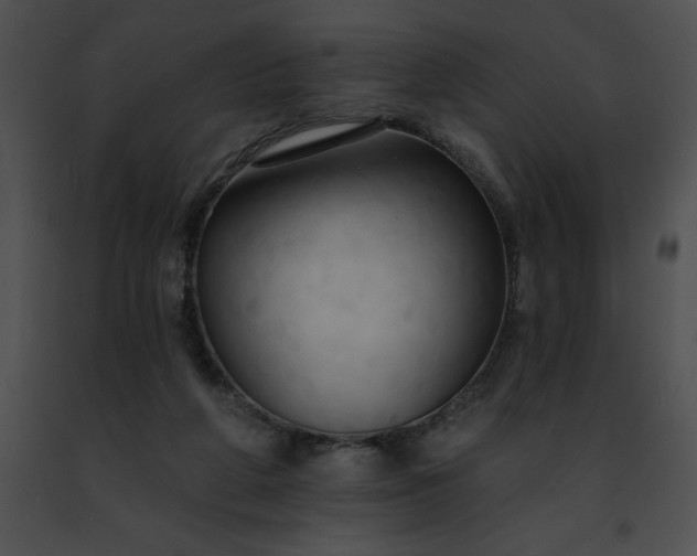 X0000091460210200708301839