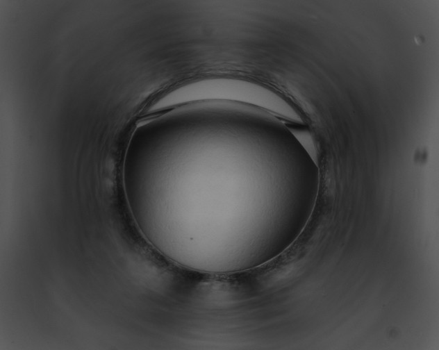 X0000091460211200708301839