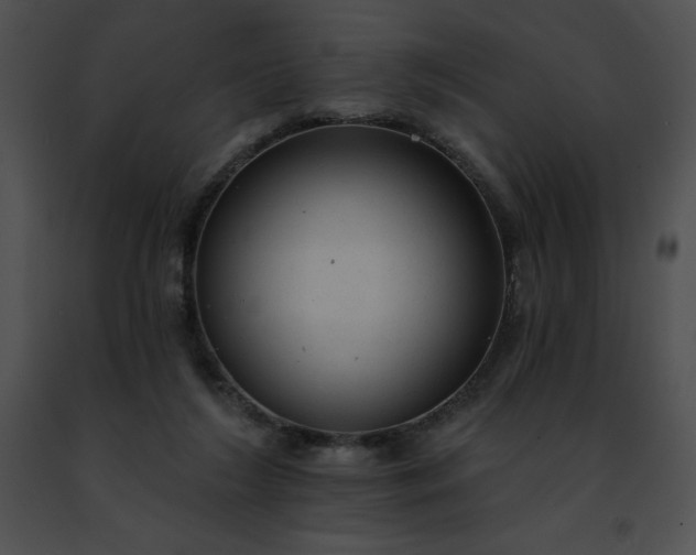 X0000091460212200708301839