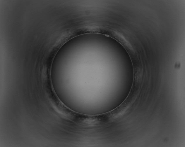 X0000091460213200708301838