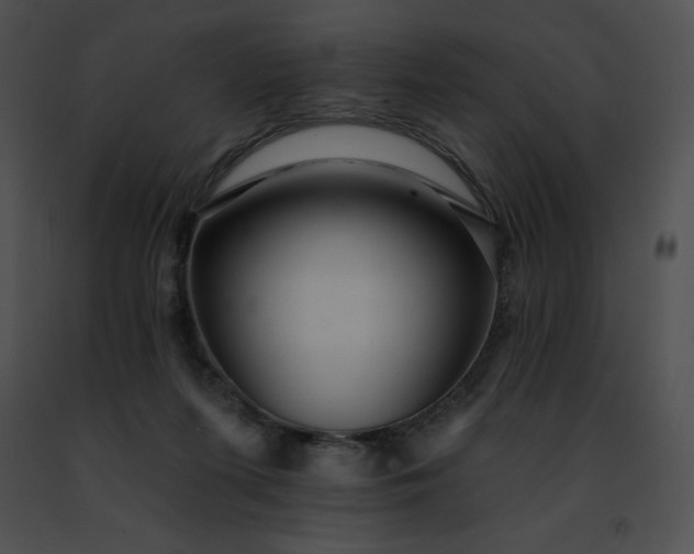 X0000091460215200708301838