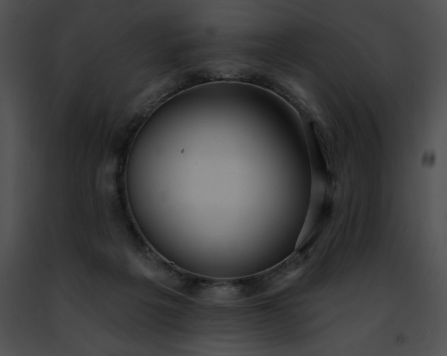 X0000091460217200708301838