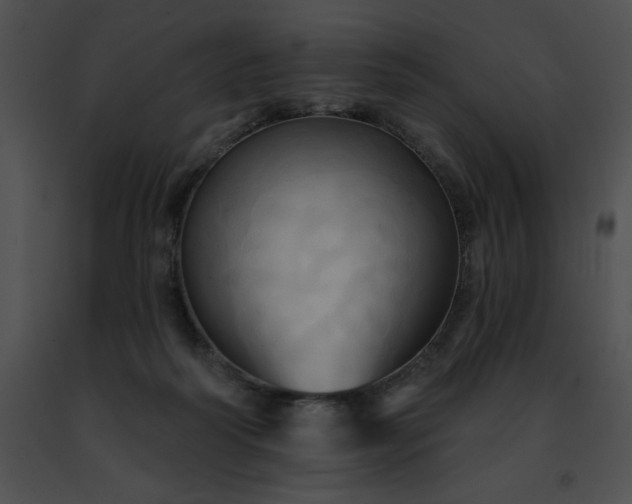 X0000091460218200708301838