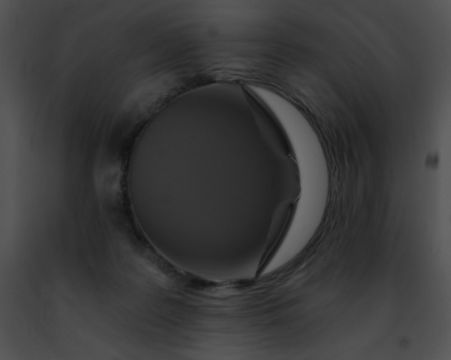 X0000091460219200708301838