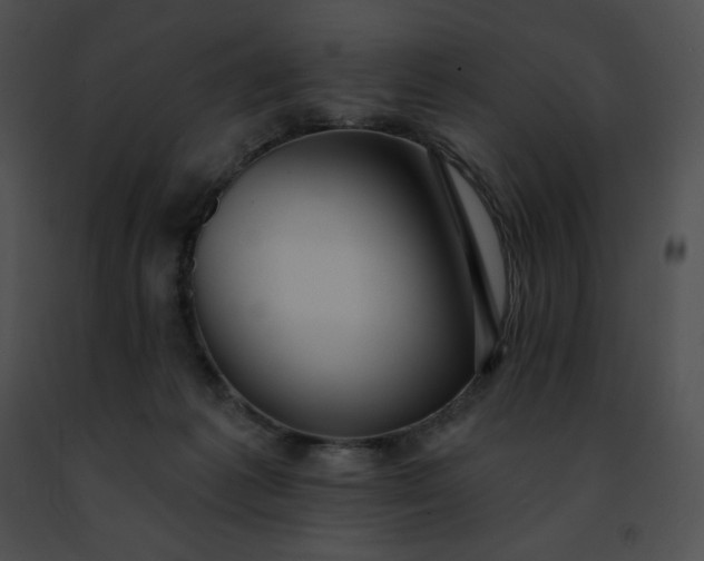 X0000091460221200708301838