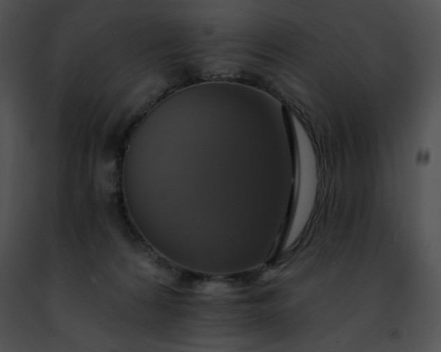 X0000091460224200708301838