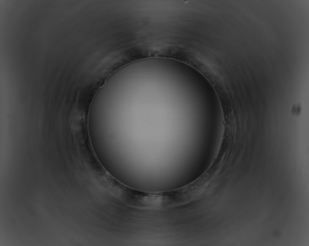 X0000091460225200708301838