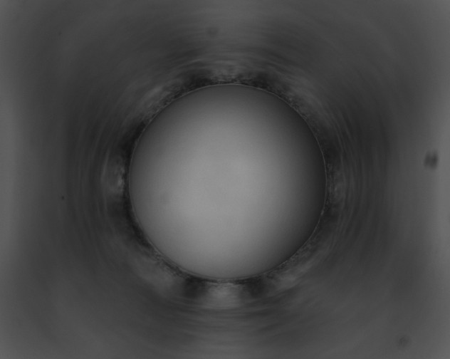 X0000091460226200708301838