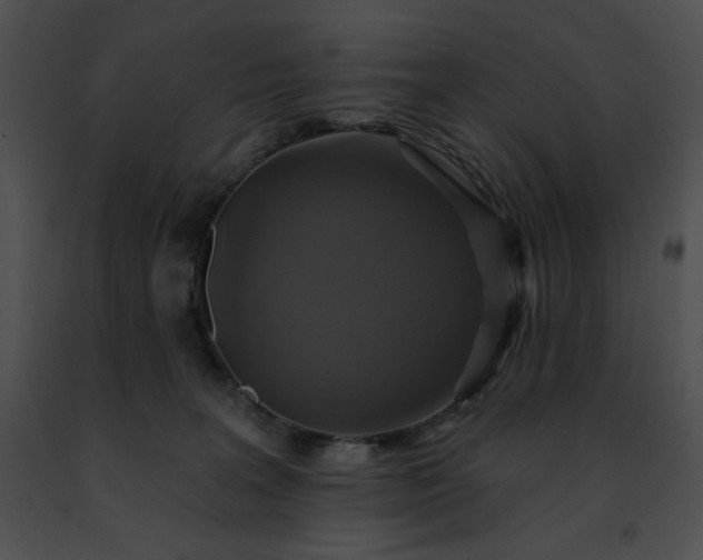 X0000091460227200708301838