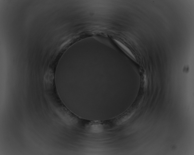 X0000091460228200708301838