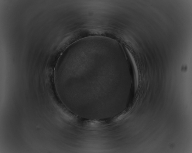 X0000091460229200708301838