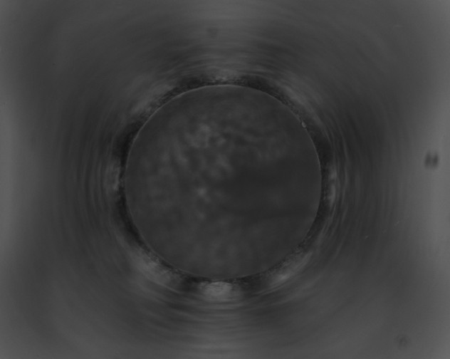 X0000091460230200708301838