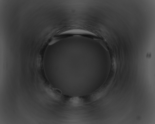 X0000091460231200708301838