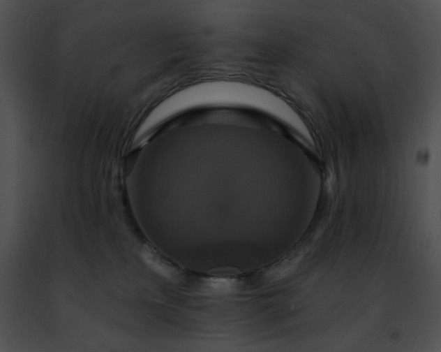 X0000091460233200708301838