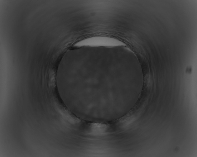 X0000091460234200708301838