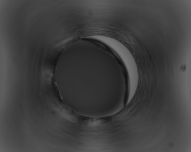 X0000091460235200708301838