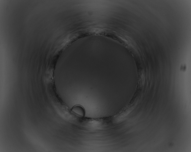 X0000091460236200708301838