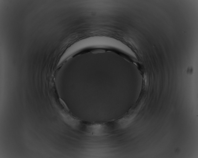 X0000091460237200708301838