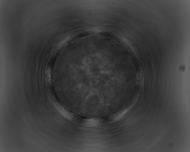 X0000091460238200708301838