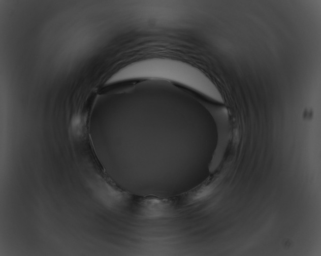 X0000091460239200708301838