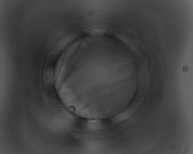 X0000091460240200708301838