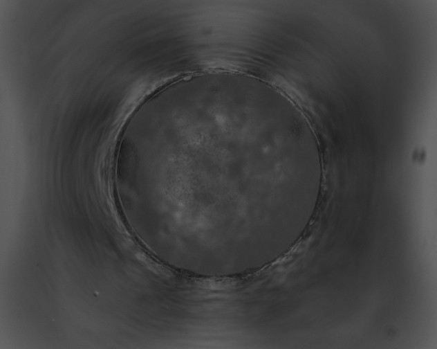 X0000091460241200708301837