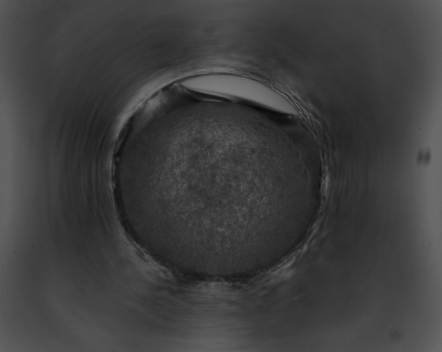 X0000091460244200708301837