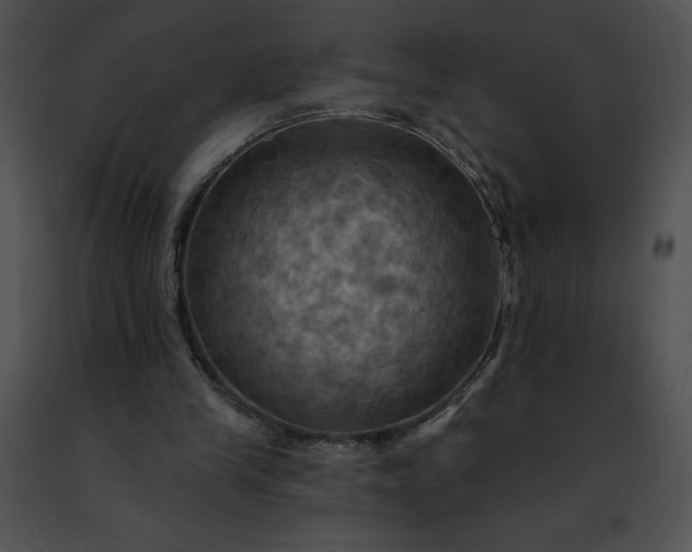 X0000091460245200708301837