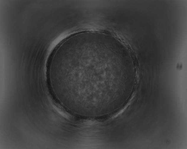 X0000091460246200708301837